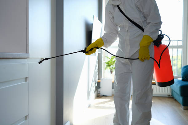 Pest Control for Restaurants and Food Service in Lake Bryan, TX